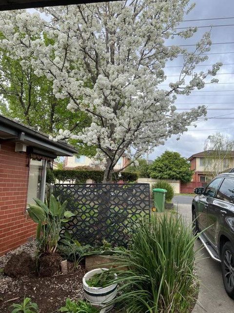 Newly Refurbished House- SuperFast Internet - Tourism Caloundra 2