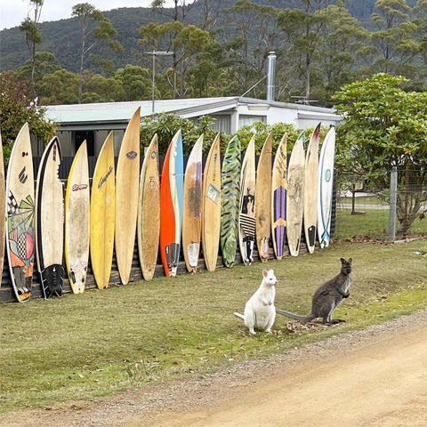 NOFOMO AT ADVENTURE BAY - Tourism Caloundra 0