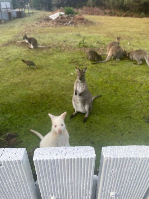 NOFOMO AT ADVENTURE BAY - Tourism Caloundra 2
