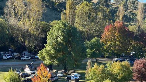 Omeo Holiday Park - Tourism Caloundra 0