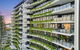 Palm Beach Luxury Apartment With Hinterland Views - thumb 1