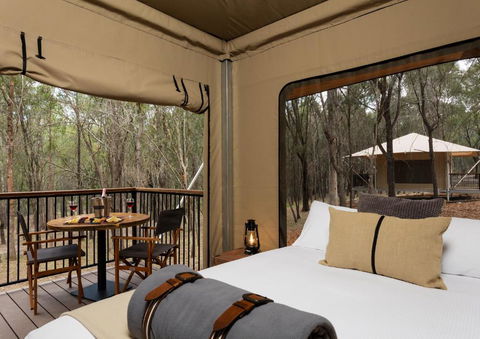 Paradise Country Farmstay - Tourism Caloundra 2