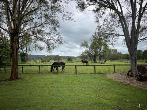 Petama By Tiny Away - Tourism Caloundra 1