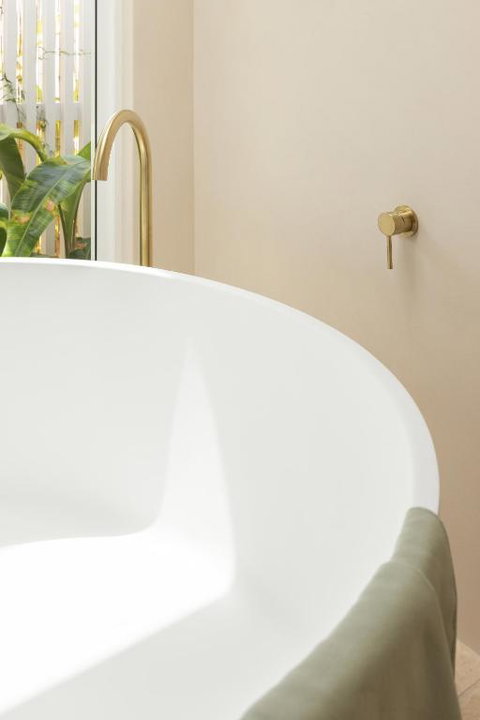 Pipis - Tourism Caloundra 1