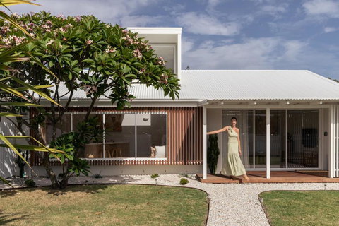 Pipis - Tourism Caloundra 2