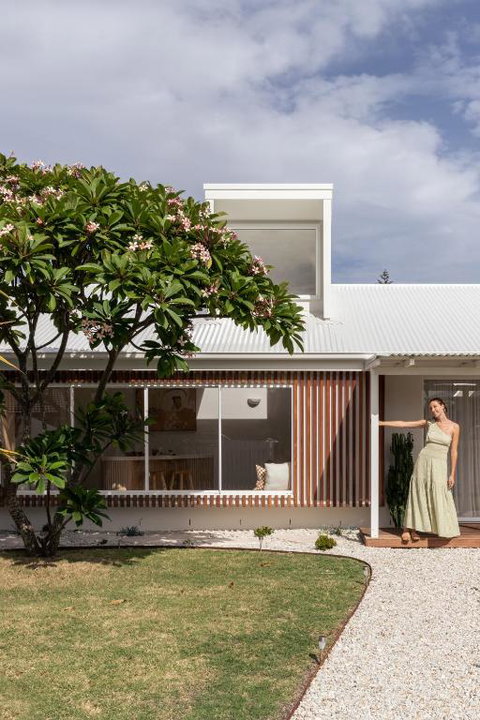 Pipis - Tourism Caloundra 3