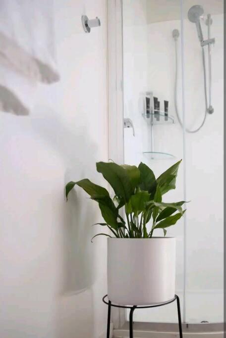 Poppies Retreat - Tourism Caloundra 2