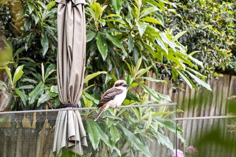 Quaint Queen Room - Central Location At Pymble - Shared Bathroom - Tourism Caloundra 1