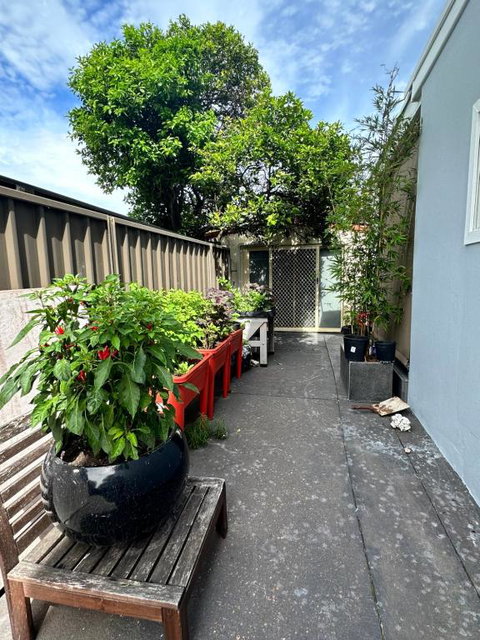 Private, Local Living Studio In Mascot, Airport - Tourism Caloundra 2
