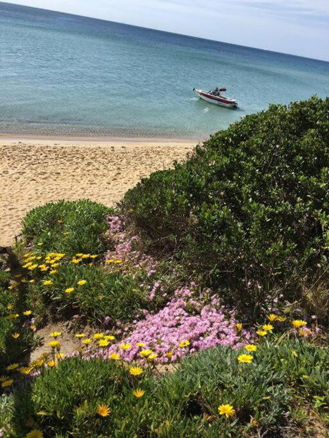 Quiet, Luxurious Guest House - Couples Retreat - Tourism Caloundra 1