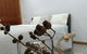 Quiet Nature-Filled Ground Floor Unit - thumb 1