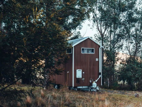 Raintree Farmstay By Tiny Away - Tourism Caloundra 1