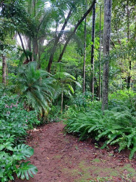 Rainforest Retreat-Fireplace-BBQ-3 Acres- - Tourism Caloundra 0