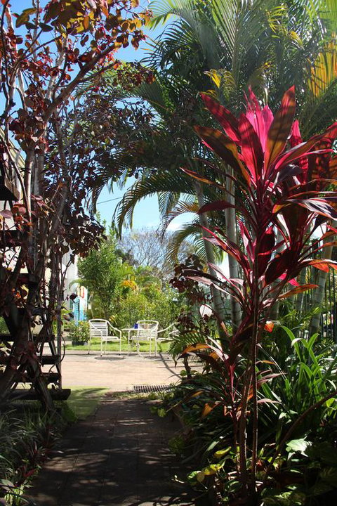 Asylum Cairns Hostel - Tourism Caloundra 0