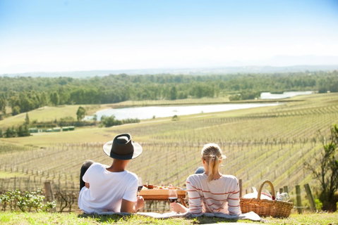 Audrey Wilkinson Vineyard - Tourism Caloundra 0