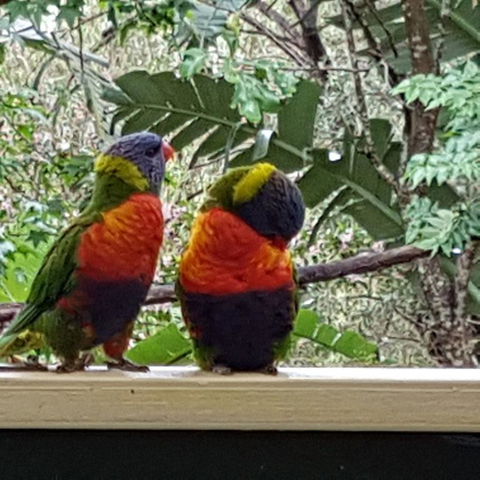 Avoca Beach Cape Cottage - Tourism Caloundra 3