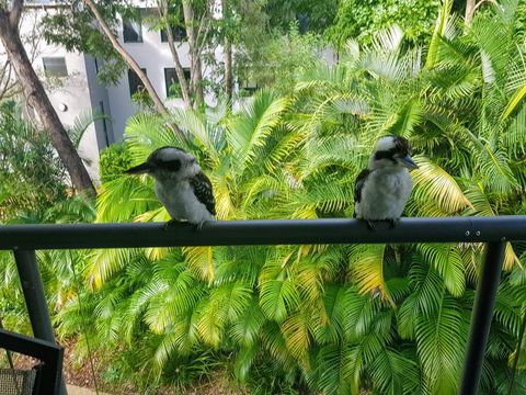 Baden 45 - Rainbow Shores, Beachside Unit, Aircon, Swimming Pool, Tennis Court - Tourism Caloundra 3