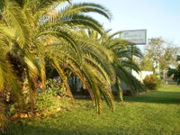Book Winton Accommodation Vacations Tourism Caloundra Tourism Caloundra