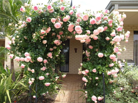 Baudins Of Busselton Bed And Breakfast - Tourism Caloundra 0