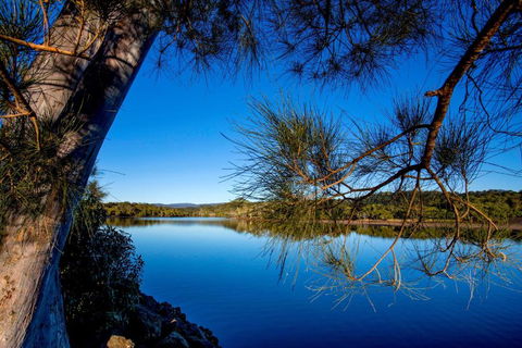 Reflections Ferry Reserve - Holiday Park - Tourism Caloundra 2