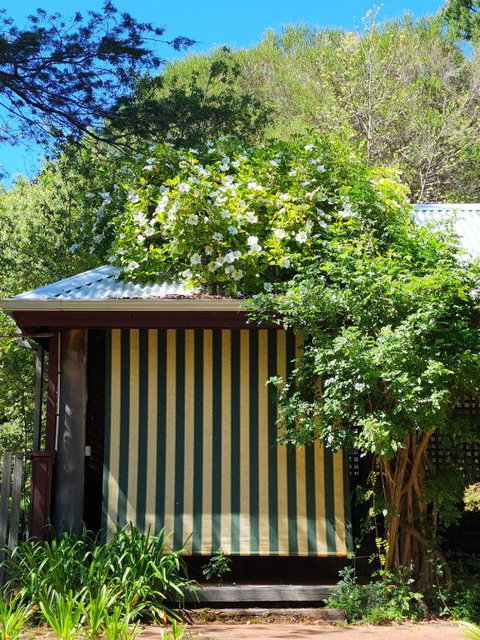 Redgum Hill Country Retreat - Tourism Caloundra 3