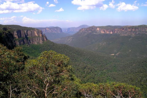Ribbon Gum Lodge - Tourism Caloundra 1