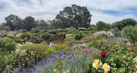 River Gardens Axedale Pet Friendly Farmstay B&B - Tourism Caloundra 0