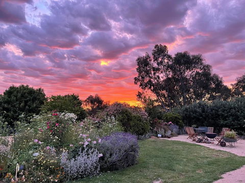 River Gardens Axedale Pet Friendly Farmstay B&B - Tourism Caloundra 3