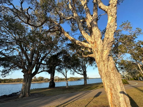 River Gum Apartment - Tourism Caloundra 0