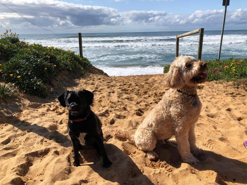 Sanctuary Retreat - Tourism Caloundra 2