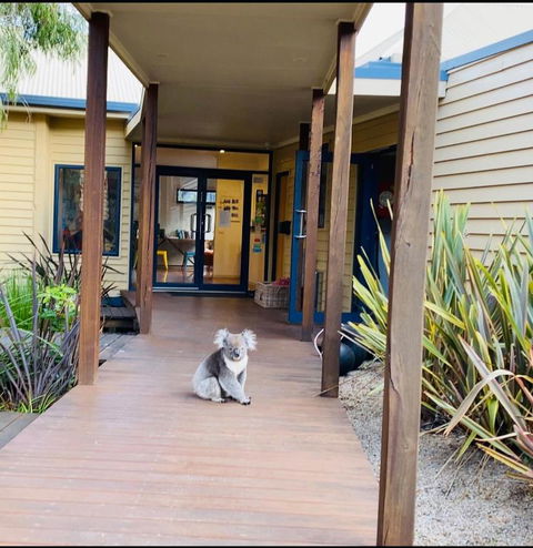 Sandpiper Motel Apollo Bay - Tourism Caloundra 3