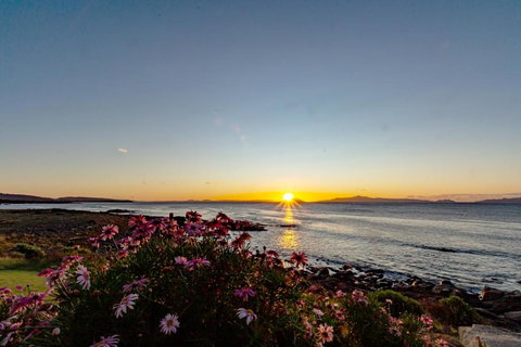 Thalia Haven - Tourism Caloundra 2