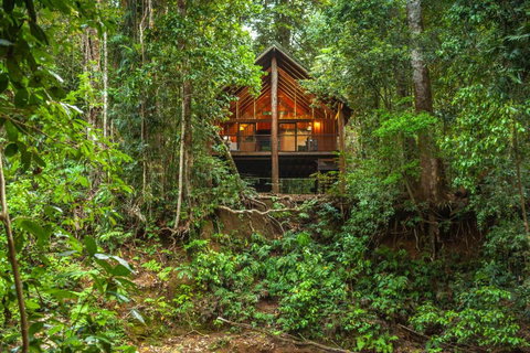 The Canopy Rainforest Treehouses & Wildlife Sanctuary - Tourism Caloundra 0