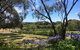The Farm Willunga - thumb 3