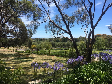 The Farm Willunga - Tourism Caloundra 3