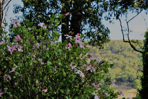 The Getaway Roleystone - Tourism Caloundra 1