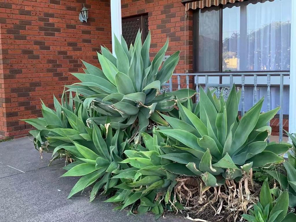 Bentleigh East VIC Tourism Caloundra
