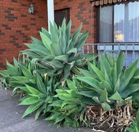 Beautiful Bedroom in Bentleigh East - Tourism Caloundra