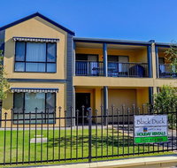 Black Duck - Tourism Caloundra