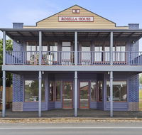 Blue Rosella On Piper - Tourism Caloundra