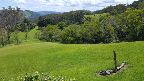 Blue Summit Cottages - Tourism Caloundra 3