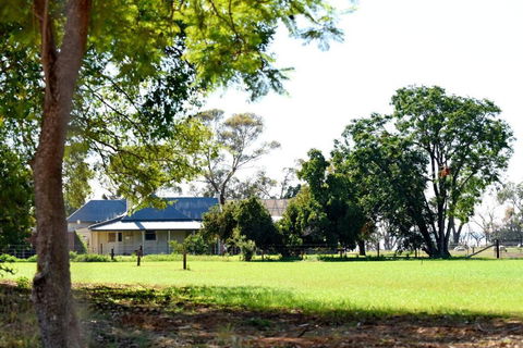 The Jetty House - Lake Frontage Barmera Riverland - Tourism Caloundra 3