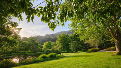 Tieve Tara - Tourism Caloundra 1