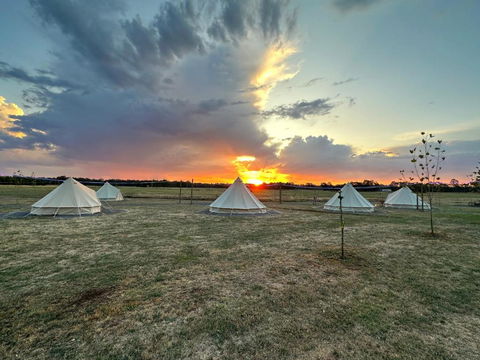 Glamping At Beltie Park - Tourism Caloundra 1
