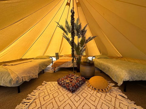 Glamping At Beltie Park - Tourism Caloundra 4