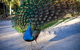 Territory Manor Motel & Caravan Park - thumb 1