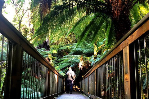Small-Group Great Ocean Road And Twelve Apostles Full-Day Tour - Tourism Caloundra 1
