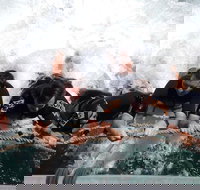 Cruise in Moreton Bay Marine Park and Moreton Island - Tourism Caloundra