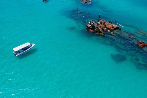 Private Tangalooma Wrecks Tour - Tourism Caloundra 4