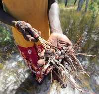 Gay-Wu Woman's 5 Day Yolngu Homeland Tour - Tourism Caloundra